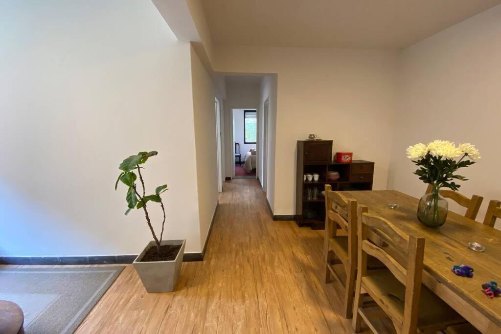 Departamento Centrico A Metros De Plaza Belgrano Apartment San Salvador de Jujuy Ngoại thất bức ảnh